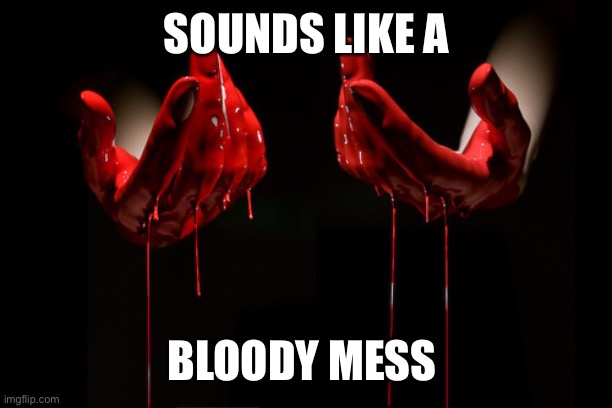 bloody hands | SOUNDS LIKE A BLOODY MESS | image tagged in bloody hands | made w/ Imgflip meme maker