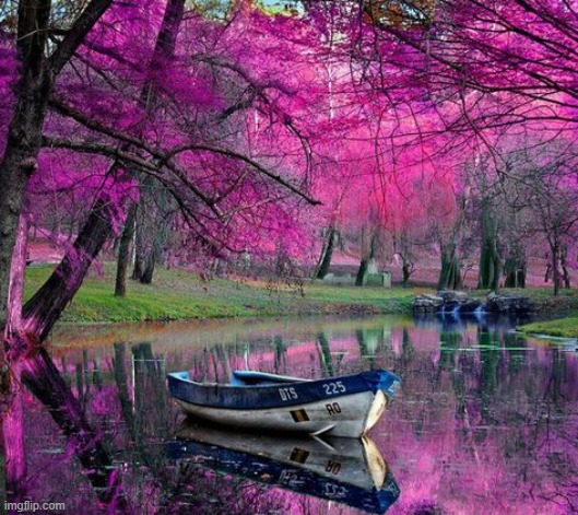 image tagged in awesome | made w/ Imgflip meme maker