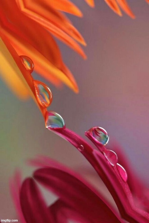 image tagged in awesome | made w/ Imgflip meme maker