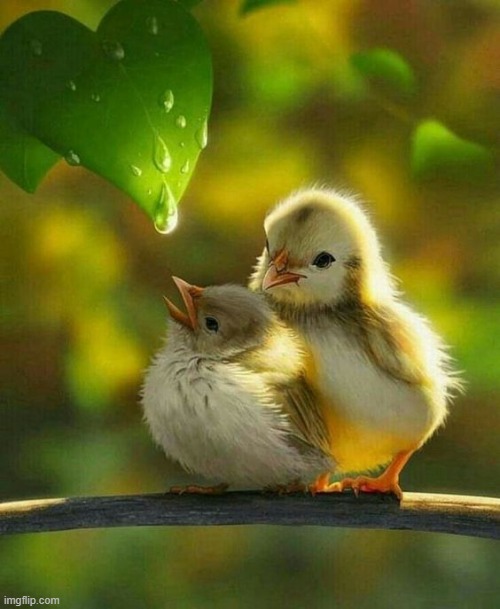 image tagged in awesome | made w/ Imgflip meme maker