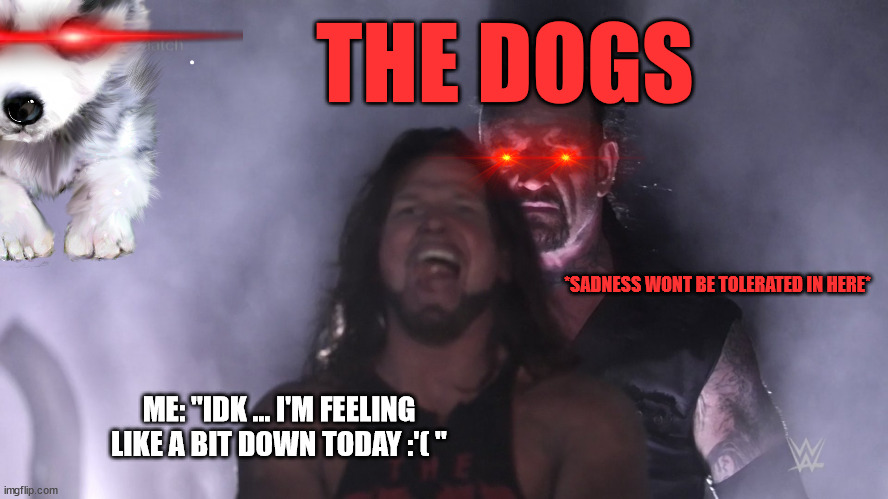 the sadness stays in the circle | THE DOGS; *SADNESS WONT BE TOLERATED IN HERE*; ME: "IDK ... I'M FEELING LIKE A BIT DOWN TODAY :'( " | image tagged in aj styles undertaker,nope,never,watch dogs,dogs,dog | made w/ Imgflip meme maker