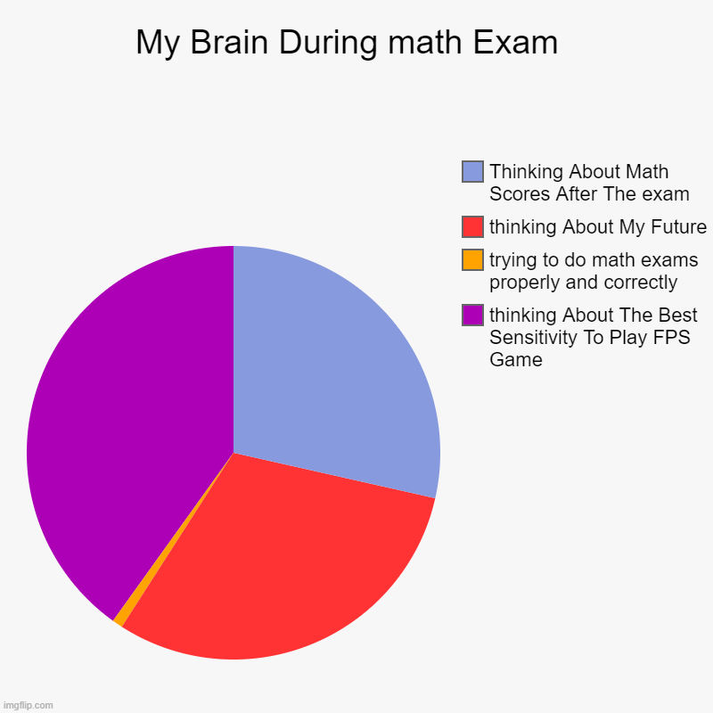 My Brain During math Exam  | thinking About The Best Sensitivity To Play FPS Game, trying to do math exams properly and correctly, thinking  | image tagged in charts,pie charts | made w/ Imgflip chart maker