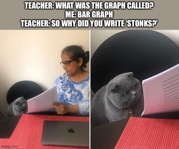 Stonks |  TEACHER: WHAT WAS THE GRAPH CALLED?
ME: BAR GRAPH
TEACHER: SO WHY DID YOU WRITE ‘STONKS?’ | image tagged in woman showing paper to cat,stonks,memes | made w/ Imgflip meme maker