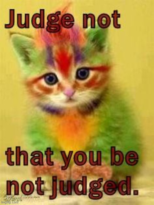 This #lolcat wonders why people judge others just based on their looks. | image tagged in lolcat,hairstyle,judging | made w/ Imgflip meme maker