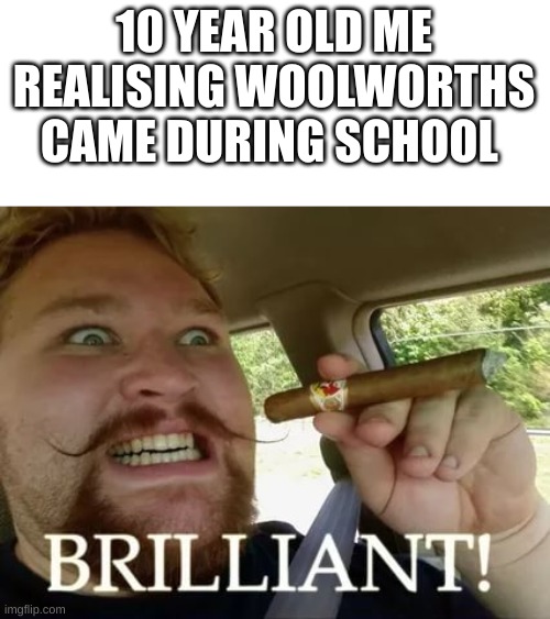 Brilliant | 10 YEAR OLD ME REALISING WOOLWORTHS CAME DURING SCHOOL | image tagged in brilliant | made w/ Imgflip meme maker