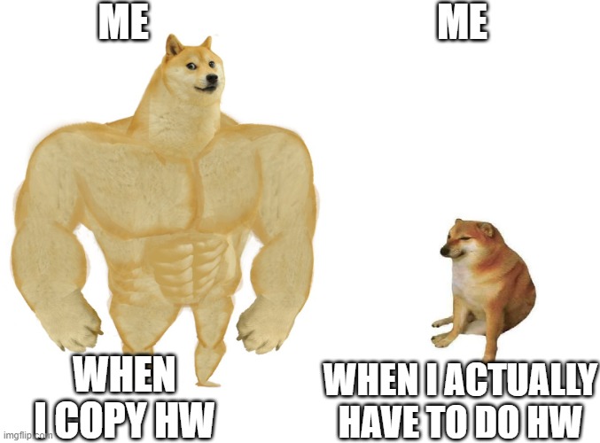 Big dog small dog | ME; ME; WHEN I ACTUALLY HAVE TO DO HW; WHEN I COPY HW | image tagged in big dog small dog | made w/ Imgflip meme maker