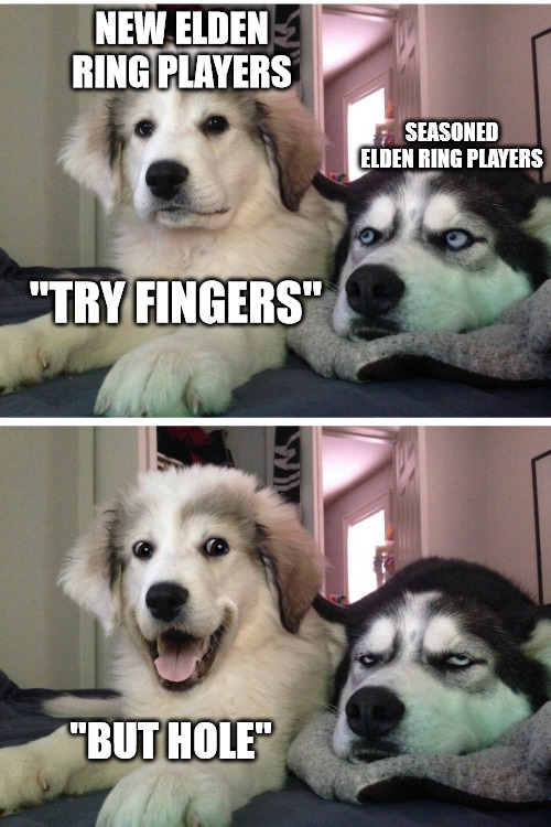 Bad pun dogs | NEW ELDEN RING PLAYERS; SEASONED ELDEN RING PLAYERS; "TRY FINGERS"; "BUT HOLE" | image tagged in bad pun dogs | made w/ Imgflip meme maker