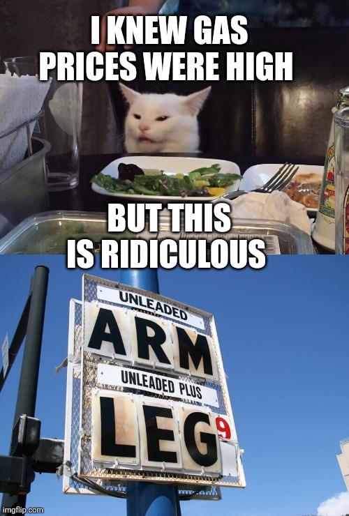 I KNEW GAS PRICES WERE HIGH; BUT THIS IS RIDICULOUS | image tagged in smudge the cat,smudge | made w/ Imgflip meme maker