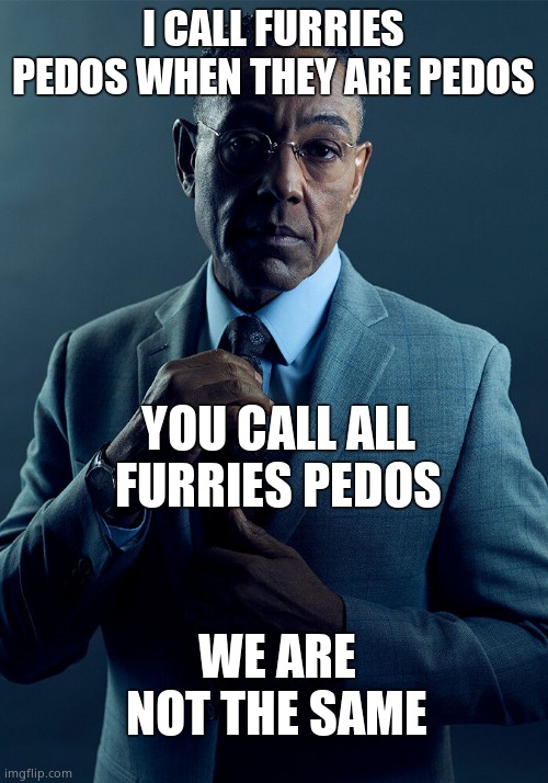 Gus Fring we are not the same | I CALL FURRIES PEDOS WHEN THEY ARE PEDOS; YOU CALL ALL FURRIES PEDOS; WE ARE NOT THE SAME | image tagged in gus fring we are not the same | made w/ Imgflip meme maker