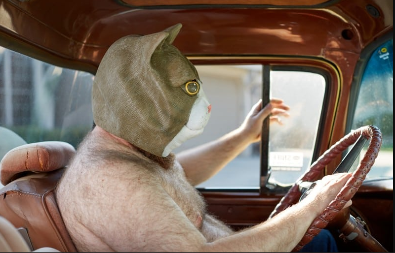 cat man Blank Meme Template