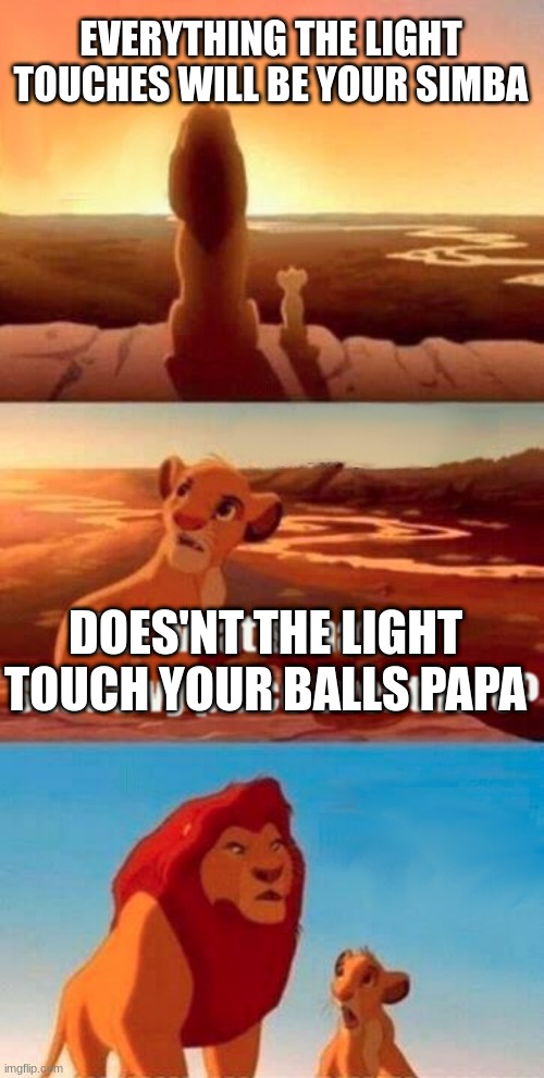 I mean they are animals that are naked, so | EVERYTHING THE LIGHT TOUCHES WILL BE YOUR SIMBA; DOES'NT THE LIGHT TOUCH YOUR BALLS PAPA | image tagged in memes,simba shadowy place | made w/ Imgflip meme maker