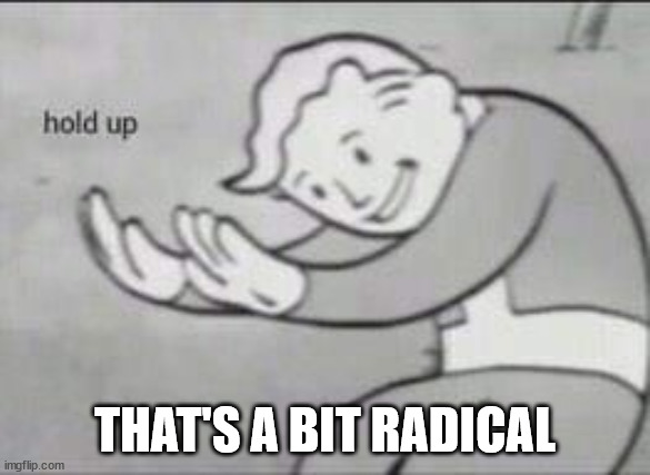 Fallout Hold Up | THAT'S A BIT RADICAL | image tagged in fallout hold up | made w/ Imgflip meme maker
