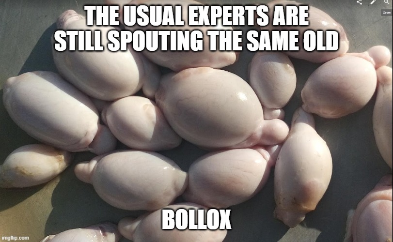 experts bollox | THE USUAL EXPERTS ARE STILL SPOUTING THE SAME OLD; BOLLOX | image tagged in balls,expert,talking | made w/ Imgflip meme maker