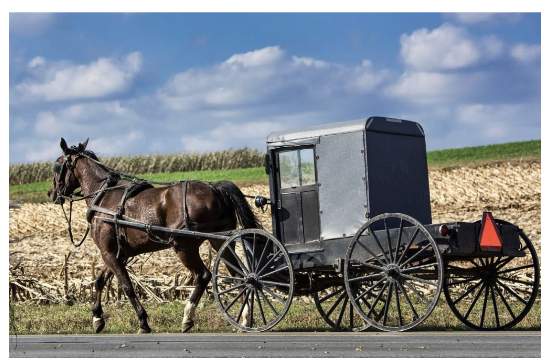 High Quality Amish Blank Meme Template