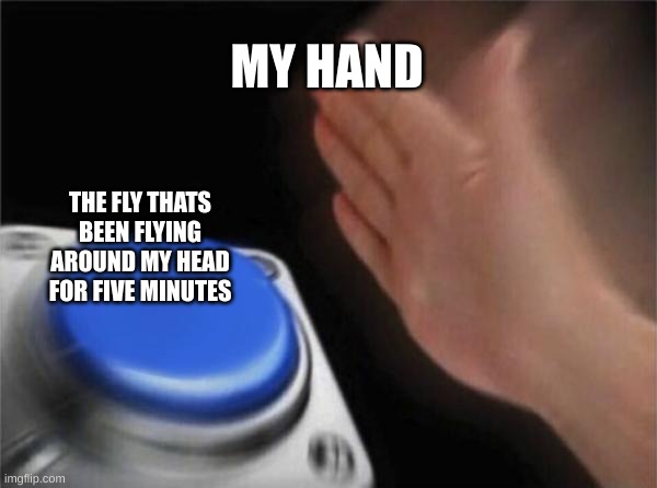 FLY | MY HAND; THE FLY THATS BEEN FLYING AROUND MY HEAD FOR FIVE MINUTES | image tagged in memes,blank nut button | made w/ Imgflip meme maker