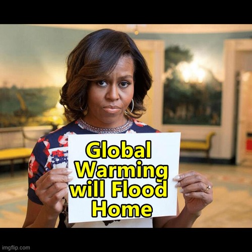 Global Warming is so Real I Bought a $12 Million Seaside House | image tagged in obama,obama's husband | made w/ Imgflip meme maker