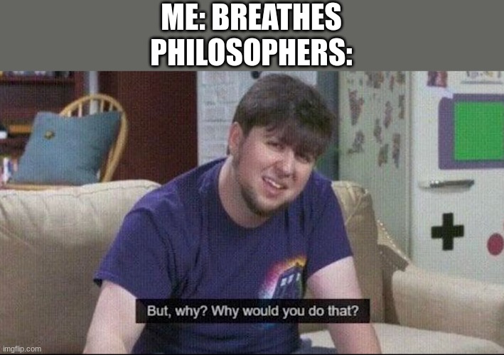 But why why would you do that? | ME: BREATHES
PHILOSOPHERS: | image tagged in but why why would you do that | made w/ Imgflip meme maker