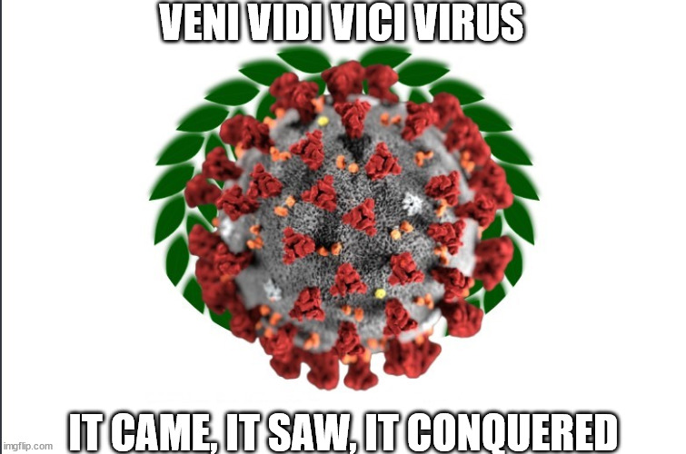 VENI VIDI VICI VIRUS; IT CAME, IT SAW, IT CONQUERED | image tagged in coronavirus | made w/ Imgflip meme maker