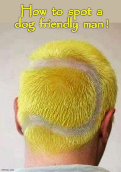 Dog friendly men ! | How  to  spot  a
dog  friendly  man ! | image tagged in dog fun | made w/ Imgflip meme maker