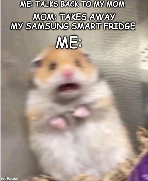 How dare u touch my SAMSUNG SMART FRIDGE | ME: TALKS BACK TO MY MOM; MOM: TAKES AWAY MY SAMSUNG SMART FRIDGE; ME: | image tagged in scared hamster,mom,samsung smart fridge,samsung | made w/ Imgflip meme maker