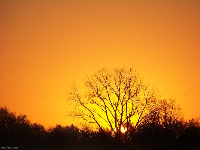 golden sunrise | image tagged in sunrise,kewlew | made w/ Imgflip meme maker