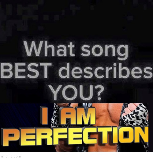 What song best describes you? | image tagged in what song best describes you | made w/ Imgflip meme maker