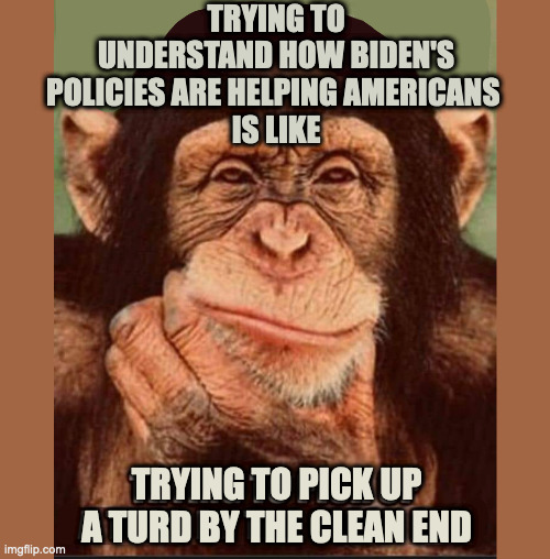 TRYING TO UNDERSTAND HOW BIDEN'S POLICIES ARE HELPING AMERICANS 
IS LIKE; TRYING TO PICK UP A TURD BY THE CLEAN END | image tagged in let's go brandon,biden,harris | made w/ Imgflip meme maker