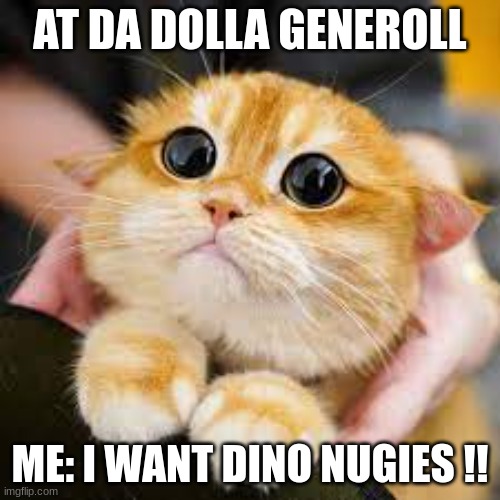 me at da stoe | AT DA DOLLA GENEROLL; ME: I WANT DINO NUGIES !! | image tagged in funny memes,grumpy cat | made w/ Imgflip meme maker