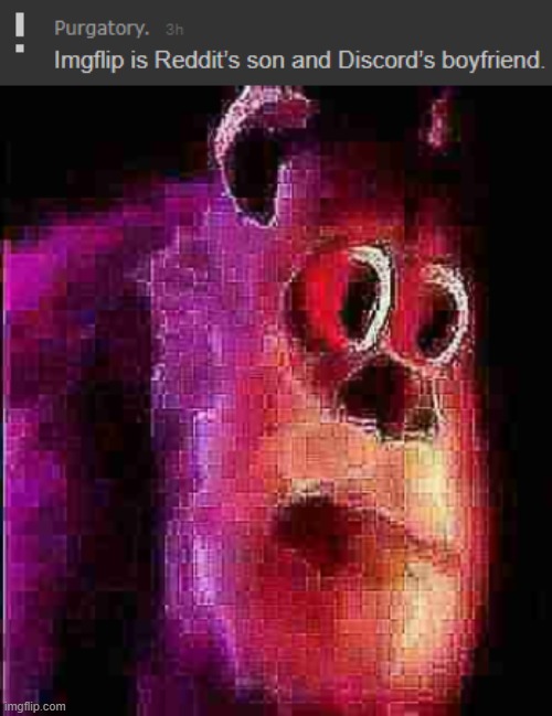 what in th f | image tagged in sullivian got shocked | made w/ Imgflip meme maker