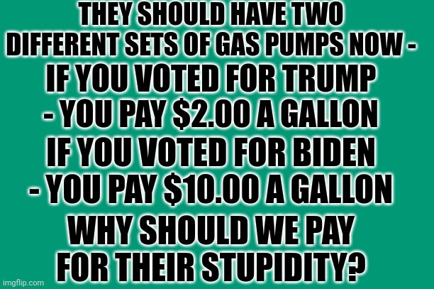 They Should Have Two Different Sets Of Gas Pumps Now | THEY SHOULD HAVE TWO DIFFERENT SETS OF GAS PUMPS NOW -; IF YOU VOTED FOR TRUMP - YOU PAY $2.00 A GALLON; IF YOU VOTED FOR BIDEN - YOU PAY $10.00 A GALLON; WHY SHOULD WE PAY FOR THEIR STUPIDITY? | image tagged in joe biden,voters,suck | made w/ Imgflip meme maker