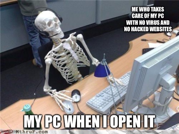 Waiting skeleton | ME WHO TAKES CARE OF MY PC WITH NO VIRUS AND NO HACKED WEBSITES; MY PC WHEN I OPEN IT | image tagged in waiting skeleton | made w/ Imgflip meme maker