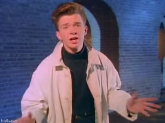 rick astley never gonna let you down | image tagged in rick astley never gonna let you down | made w/ Imgflip meme maker