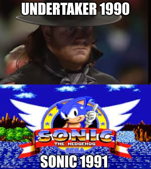 Do you know that undertaker and sonic born in the early 1990's | UNDERTAKER 1990; SONIC 1991 | image tagged in 1991,wwe,sonic the hedgehog,memes,the undertaker,1990's | made w/ Imgflip meme maker