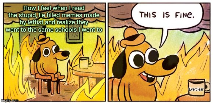 This Is Fine | How I feel when I read the stupid, lie filled memes made by leftist and realize they went to the same schools I went to; Everclear | image tagged in memes,this is fine | made w/ Imgflip meme maker