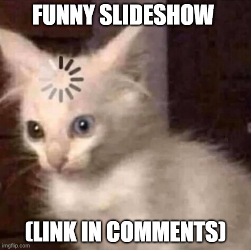 E | FUNNY SLIDESHOW; (LINK IN COMMENTS) | image tagged in kitty thonk | made w/ Imgflip meme maker