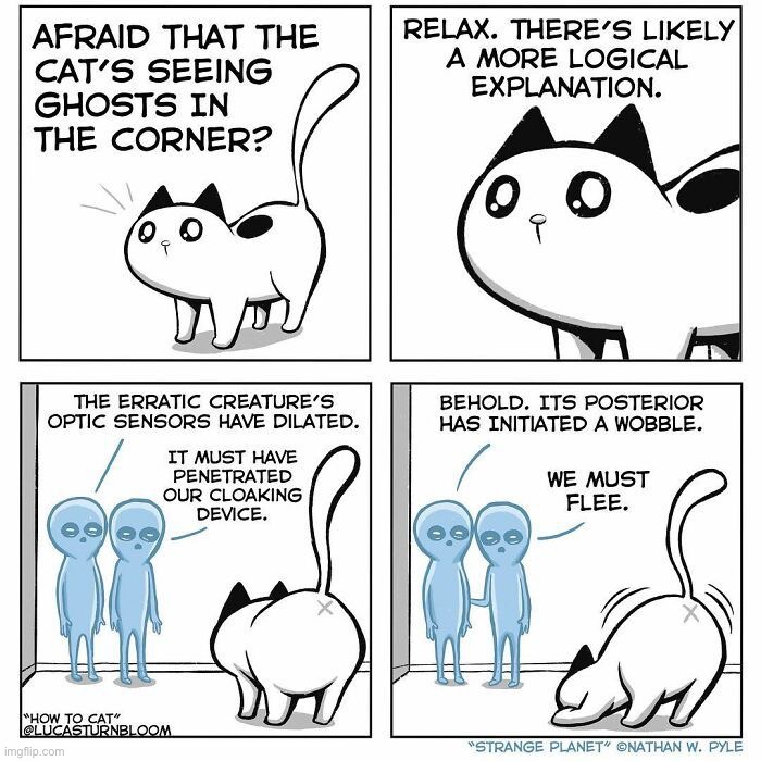 image tagged in comics/cartoons | made w/ Imgflip meme maker