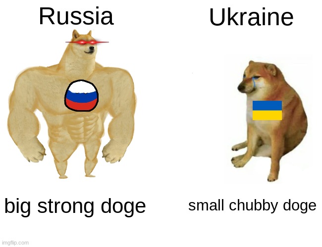 Buff Doge vs. Cheems | Russia; Ukraine; big strong doge; small chubby doge | image tagged in memes,buff doge vs cheems | made w/ Imgflip meme maker