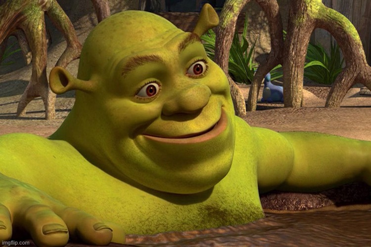 concerned shrek | image tagged in concerned shrek | made w/ Imgflip meme maker