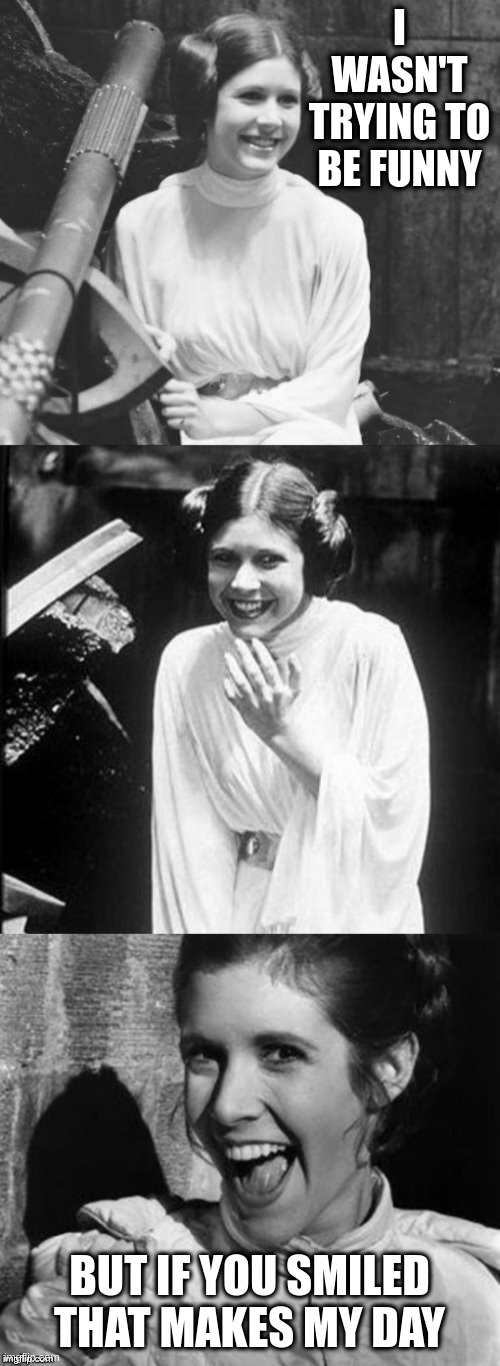 Princess Leia Puns | I WASN'T TRYING TO BE FUNNY; BUT IF YOU SMILED
THAT MAKES MY DAY | image tagged in princess leia puns | made w/ Imgflip meme maker
