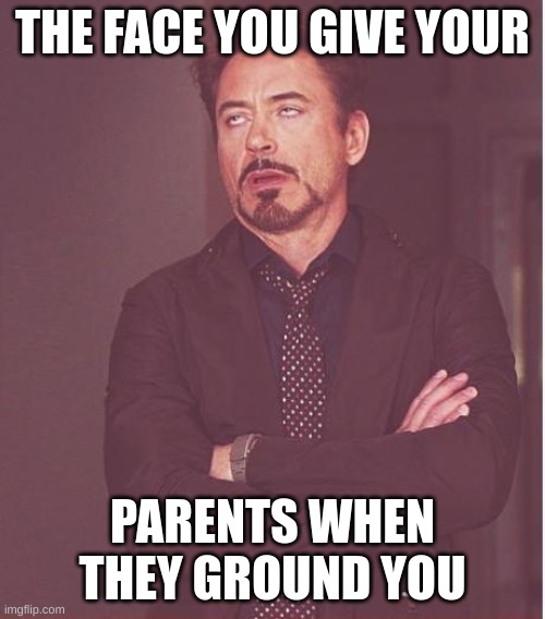 Face You Make Robert Downey Jr | THE FACE YOU GIVE YOUR; PARENTS WHEN THEY GROUND YOU | image tagged in memes,face you make robert downey jr | made w/ Imgflip meme maker