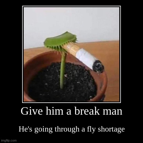 smoking fly trap | image tagged in funny,demotivationals | made w/ Imgflip demotivational maker