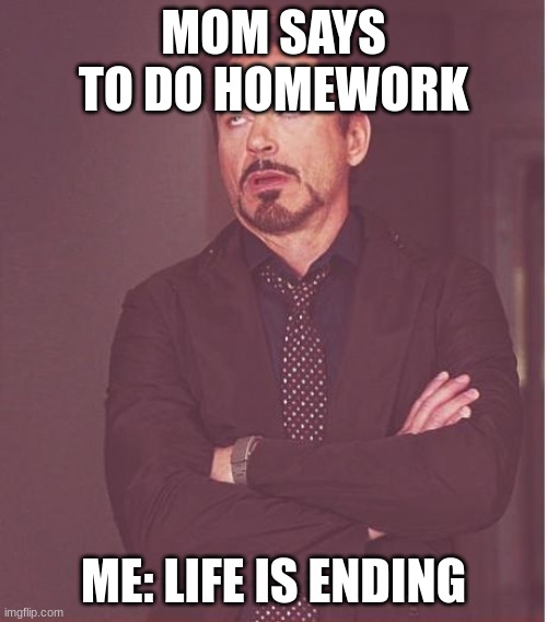 Face You Make Robert Downey Jr | MOM SAYS TO DO HOMEWORK; ME: LIFE IS ENDING | image tagged in memes,face you make robert downey jr | made w/ Imgflip meme maker