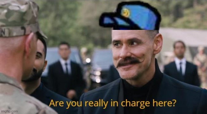 Used in comment | image tagged in are you really in charge here | made w/ Imgflip meme maker