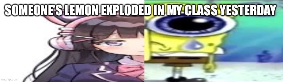 lol | SOMEONE’S LEMON EXPLODED IN MY CLASS YESTERDAY | image tagged in lol | made w/ Imgflip meme maker