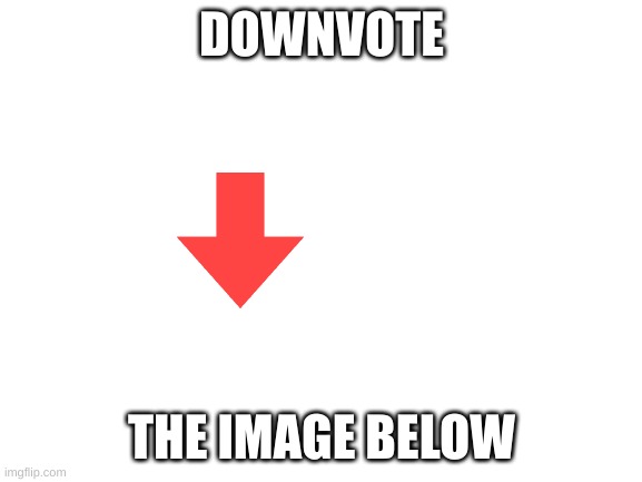 Blank White Template | DOWNVOTE; THE IMAGE BELOW | image tagged in blank white template | made w/ Imgflip meme maker