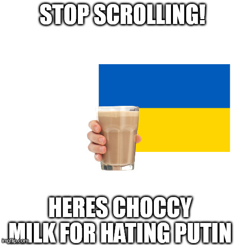 You might enjoy it | STOP SCROLLING! HERES CHOCCY MILK FOR HATING PUTIN | image tagged in ukraine,the chosen,waiting | made w/ Imgflip meme maker