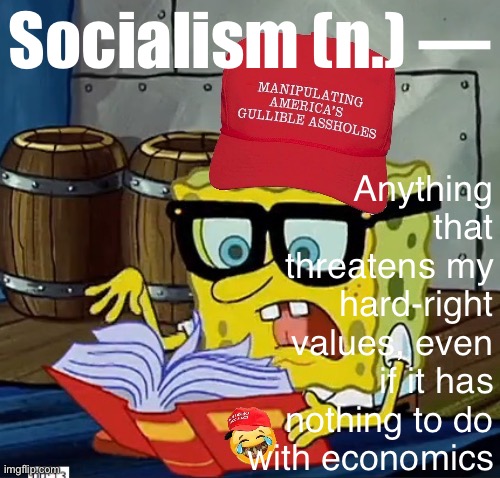 Things that have been called “socialist”: gay pride marches, Critical Race Theory, voting rights, mainstream news outlets, CDC | Anything that threatens my hard-right values, even if it has nothing to do with economics; Socialism (n.) — | image tagged in maga dictionary,maga,definition,of,socialism,conservative logic | made w/ Imgflip meme maker