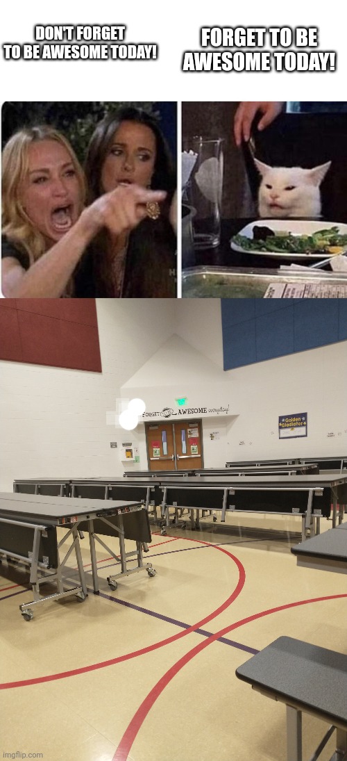 Took this picture at school | FORGET TO BE AWESOME TODAY! DON'T FORGET TO BE AWESOME TODAY! | image tagged in angry woman and cat,memes,school | made w/ Imgflip meme maker