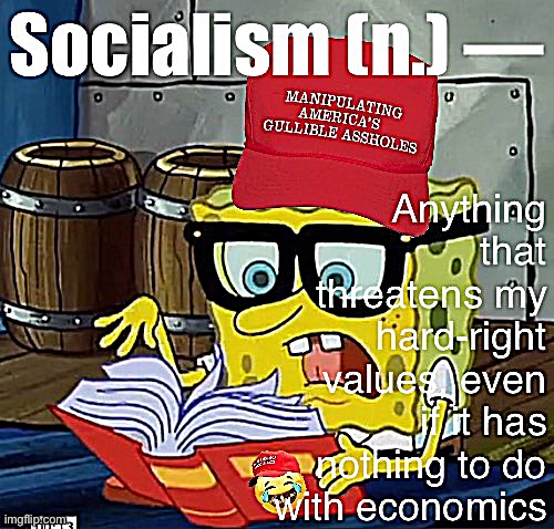 MAGA definition of socialism | image tagged in maga definition of socialism | made w/ Imgflip meme maker