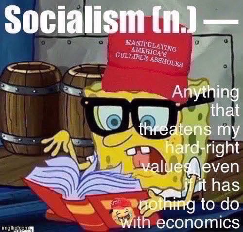 Things that have been called “socialist”: gay pride marches, Critical Race Theory, voting rights, mainstream news outlets, CDC | image tagged in maga definition of socialism,conservative logic,conservative hypocrisy,socialism,definition,read a dictionary | made w/ Imgflip meme maker